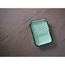 Paint tray